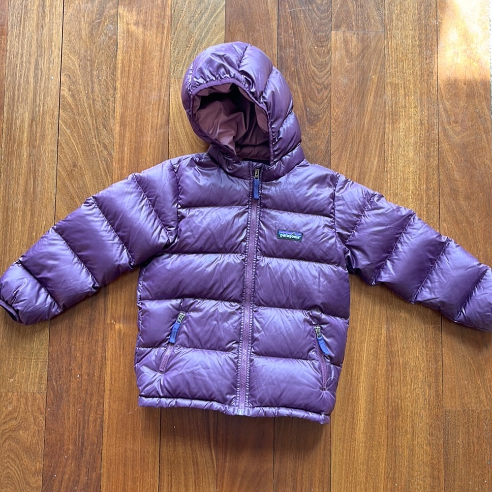 Patagonia Hi Loft Sweater Hoody